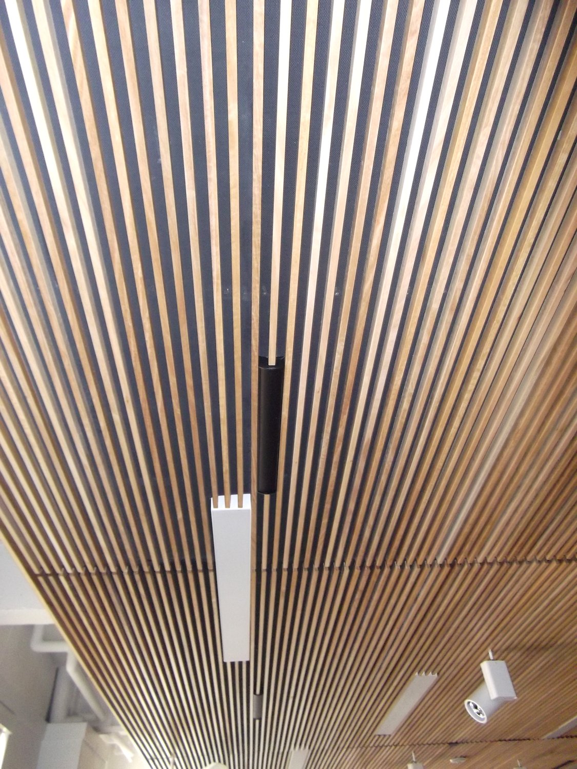 Close-up - the black array sits in a single slat gap