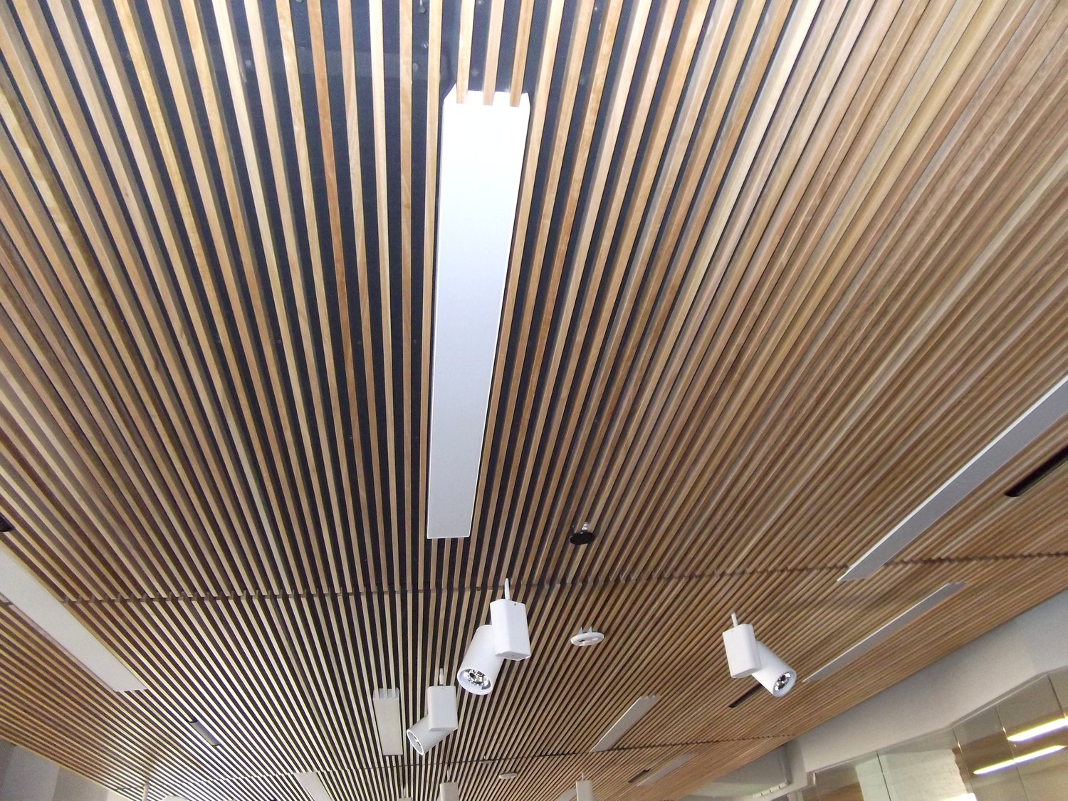 The collaboration-space ceiling - eight arrays, none of them announcing themselves